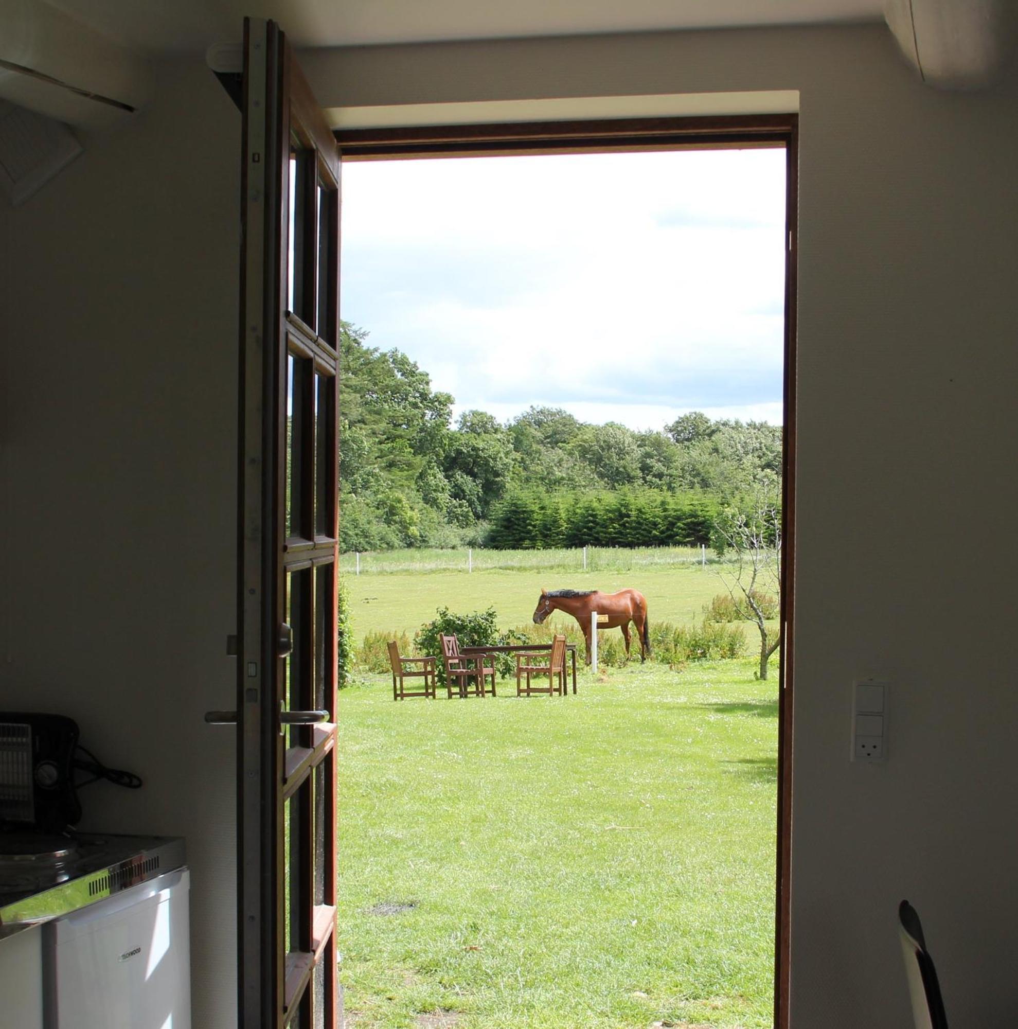 Munkebjerg Bed & Breakfast Børkop Pokoj fotografie