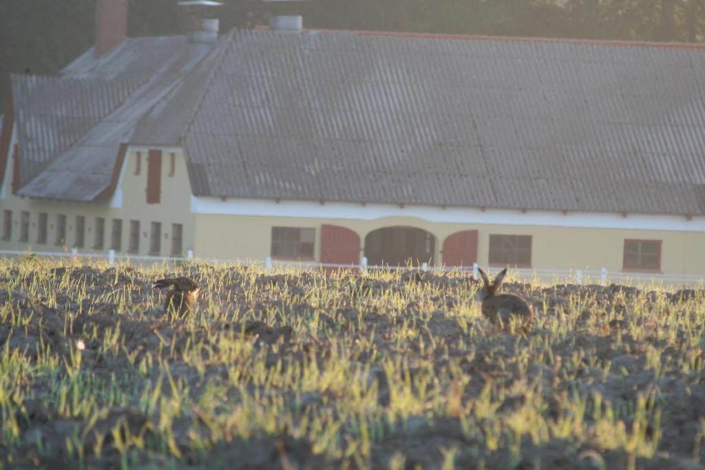 Munkebjerg Bed & Breakfast Børkop Exteriér fotografie