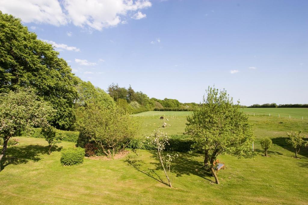 Munkebjerg Bed & Breakfast Børkop Exteriér fotografie