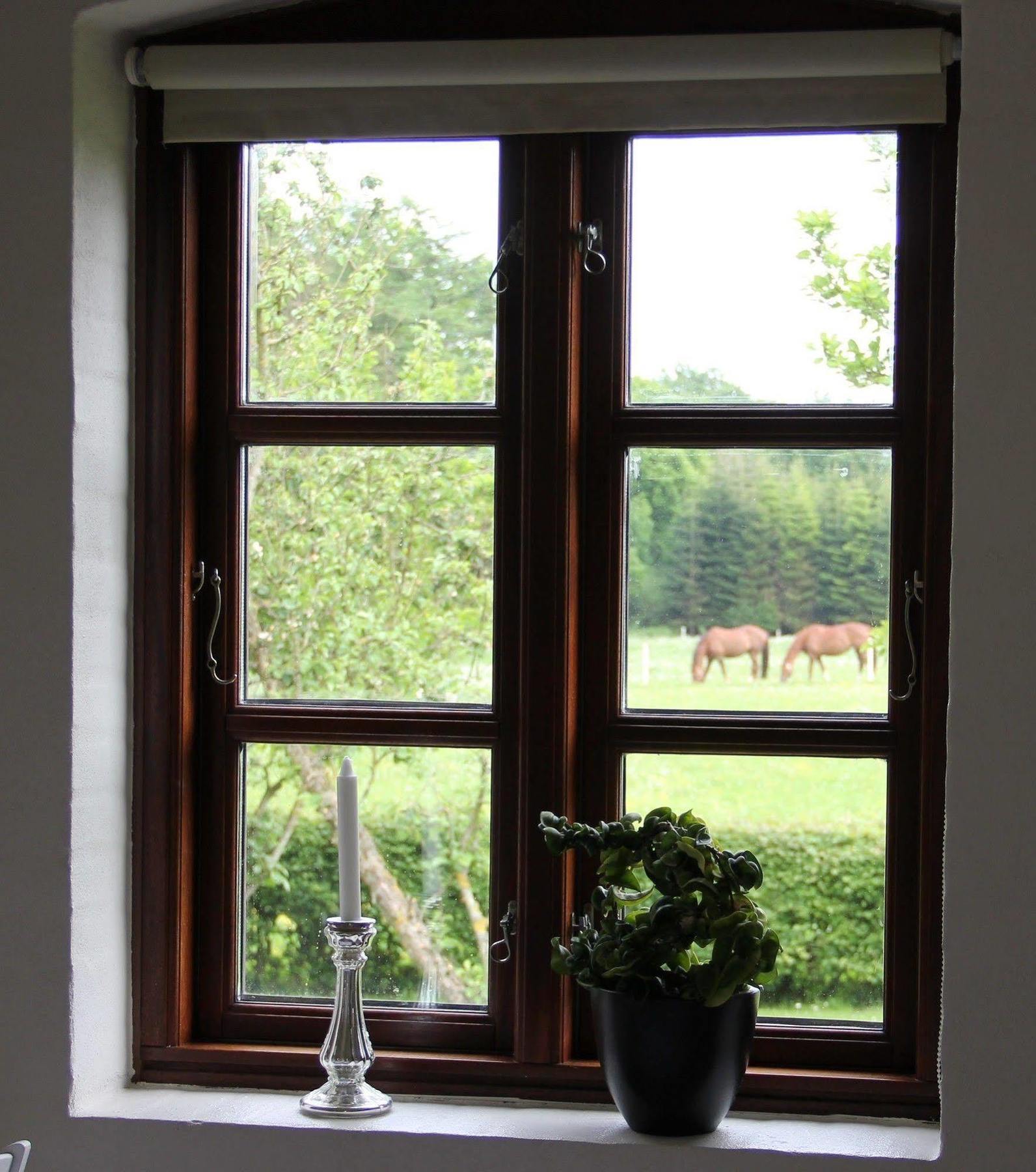 Munkebjerg Bed & Breakfast Børkop Exteriér fotografie