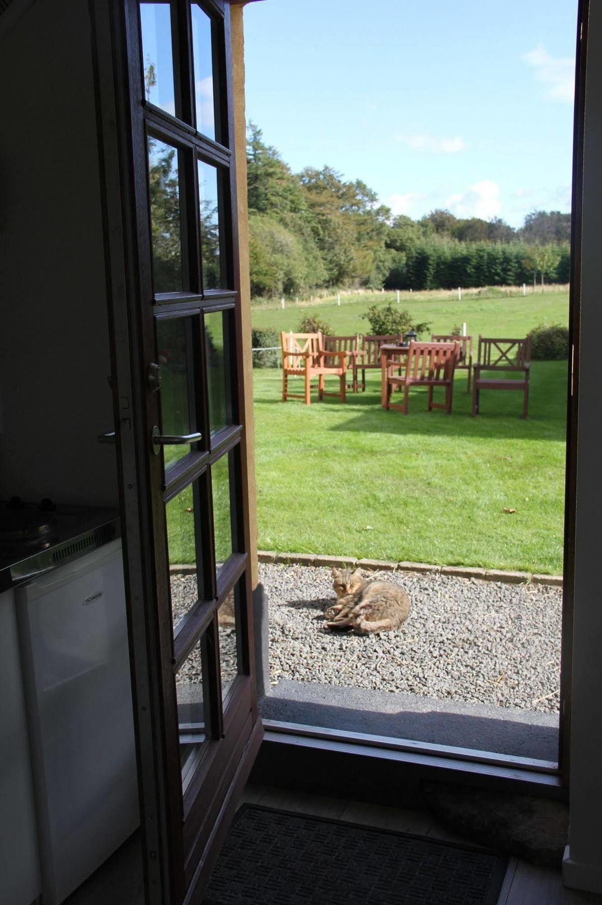 Munkebjerg Bed & Breakfast Børkop Exteriér fotografie